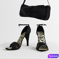 Dress, shoes and bag 3D Model Vray