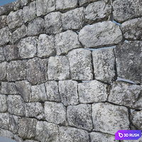 Masonry stone 3000 * 2000 3D Model Vray