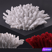 Decorative coral 3D Model Vray