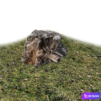 Stump, wood exterior 3D Model Vray
