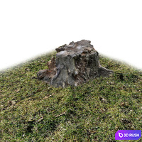 Stump, wood exterior 3D Model Vray