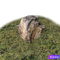 Stump, wood exterior 3D Model Vray