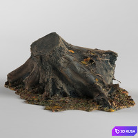 Stump 3D Model Vray