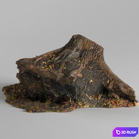 Stump 3D Model Vray