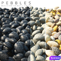 PEBBLES 2 3D Model Vray