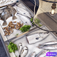 Showcase with fish and seafood 3D Model Corona