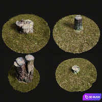 4 stump and grass 3D Model