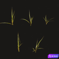4 stump and grass 3D Model Vray