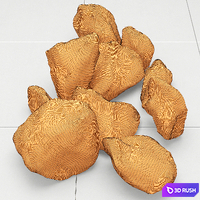 Rock stone 3D Model Vray