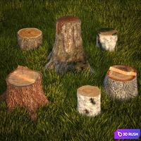 Tree stumps collection &amp; grass 3D Model Vray