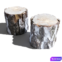 Cutted trunk 3D Model Corona