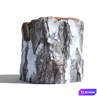 Cutted trunk 3D Model Corona
