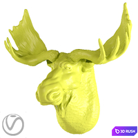 Gypsum moose head 3D Model Vray