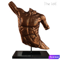Laocoon bronze torso 3D Model Vray