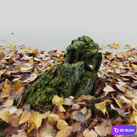 Old stump 3D Model Vray