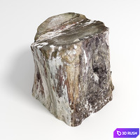 Stump 3D Model