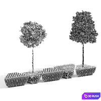 Austen 3D Model Vray, Corona
