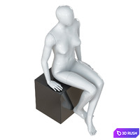 Abstract female mannequin 21 3D Model Vray