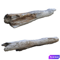 Old tree trunk_Old log 3D Model Vray