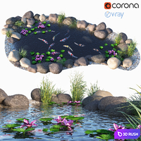 Water - Koi fish 3D Model Vray, Corona