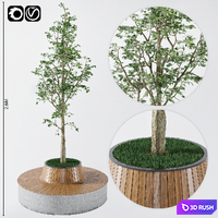 Rest zone 3D Model Vray, Corona