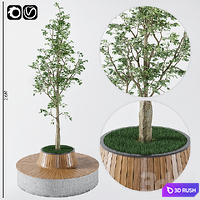 Rest zone 3D Model Vray, Corona