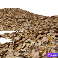 Autumn leaves 3D Model Corona
