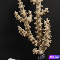 Decor Set 46 3D Model Vray, Corona