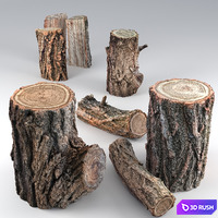 Locust tree woods 3D Model Vray, Corona