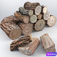 Locust tree woods 3D Model Vray, Corona