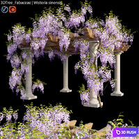 Fabaceae | Wisteria sinensis 05 3D Model Vray, Corona
