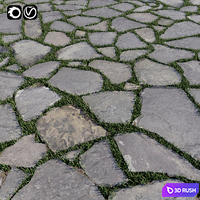 Decorative Floor 9 3D Model Vray, Corona