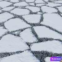 Decorative Floor 9 3D Model Vray, Corona