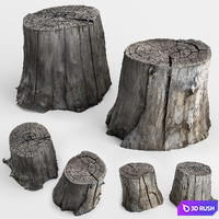 Photoscan of two stumps 3D Model Vray, Corona