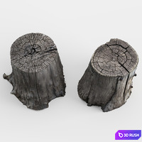 Photoscan of two stumps 3D Model Vray, Corona