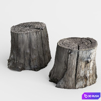 Photoscan of two stumps 3D Model Vray, Corona