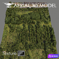 Forest 81 3D Model Vray