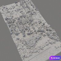 Forest 81 3D Model Vray