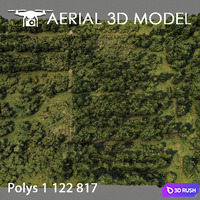 Forest 81 3D Model Vray