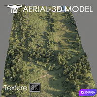 Forest 78 3D Model Vray