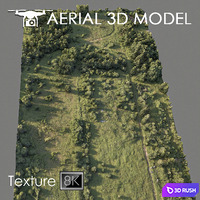 Forest 78 3D Model Vray