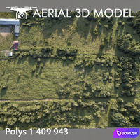 Forest 78 3D Model Vray