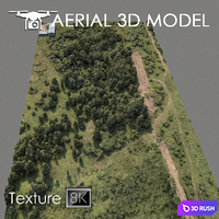 Forest 75 3D Model Vray