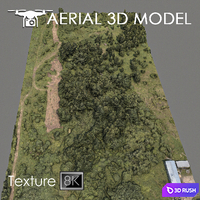 Forest 75 3D Model Vray