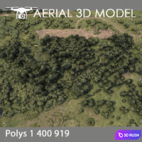 Forest 75 3D Model Vray