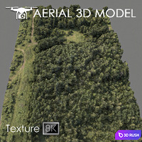 Forest 74 3D Model Vray