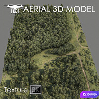 Forest 74 3D Model Vray