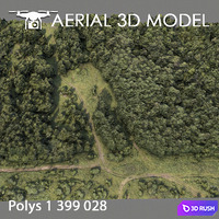 Forest 74 3D Model Vray