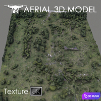 Forest 60 3D Model Vray
