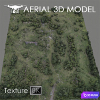 Forest 60 3D Model Vray